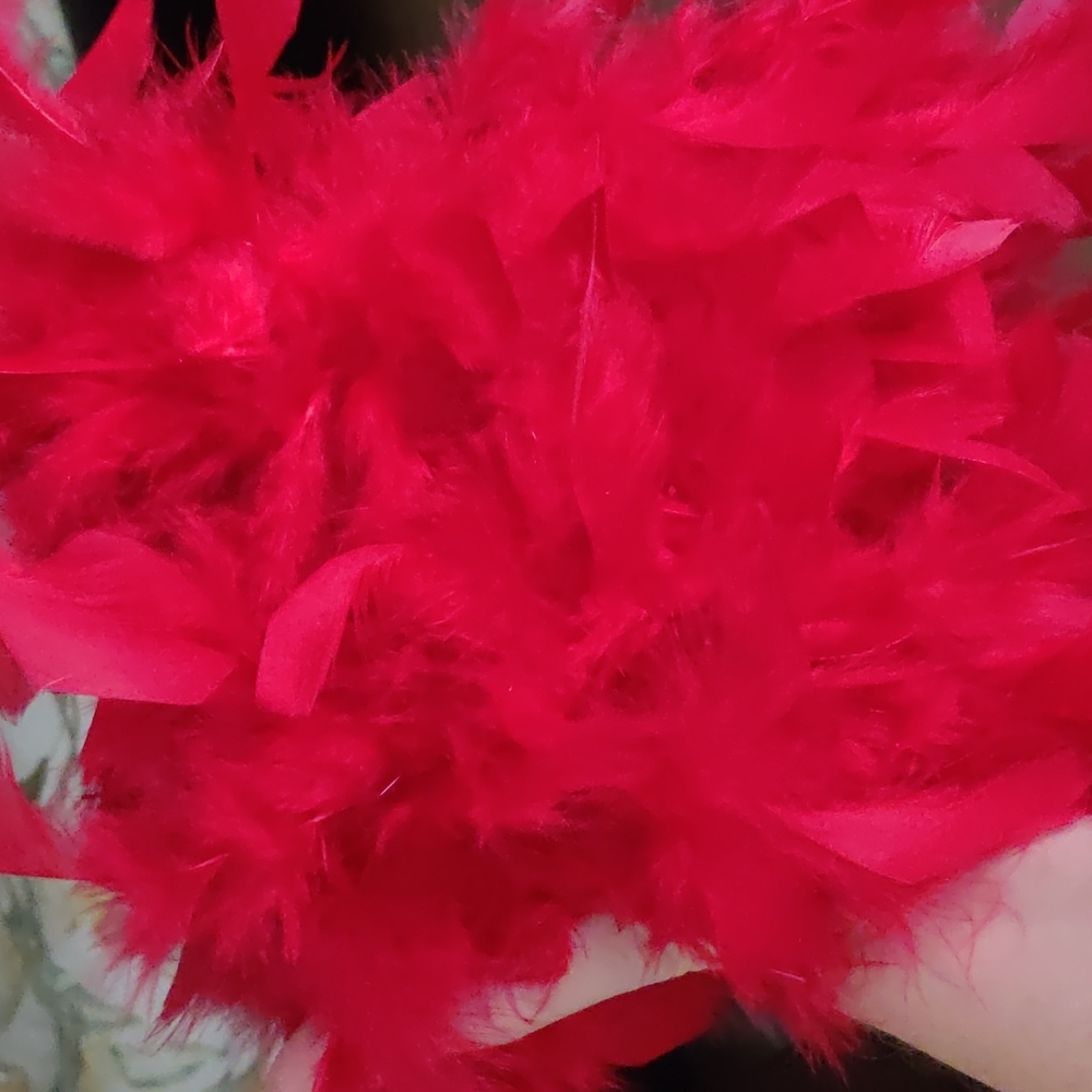 Feather Boa View 2
